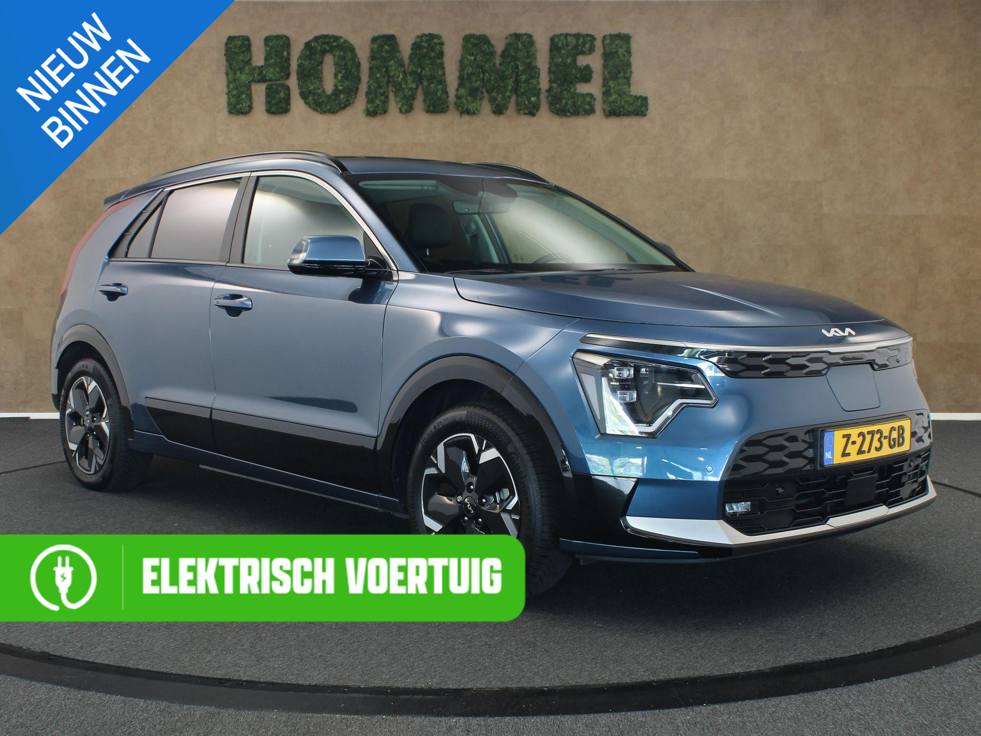 Kia Niro EV